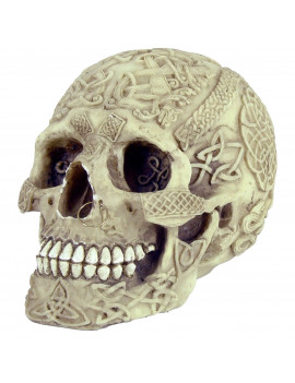 Crâne Celte
